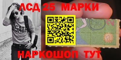 шишки Кандалакша