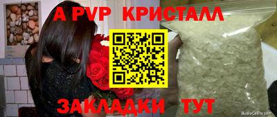 spice Камышлов