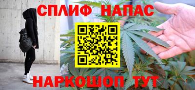 шишки Кандалакша