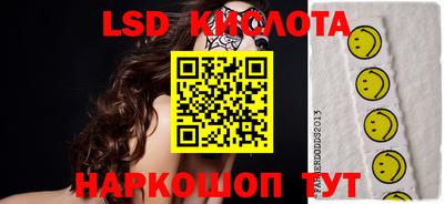 шишки Кандалакша