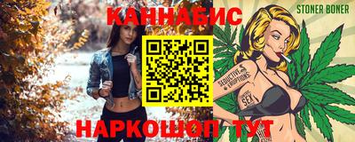 spice Камышлов