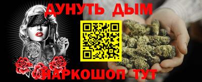 шишки Кандалакша
