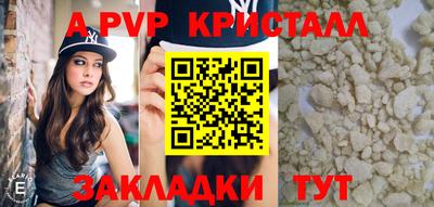 шишки Кандалакша