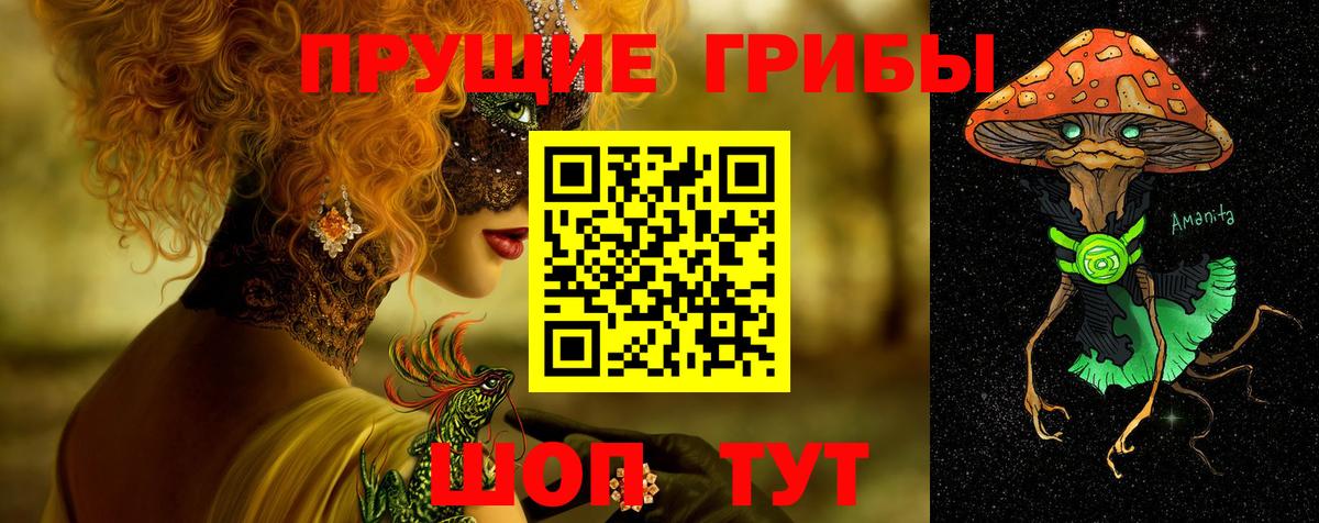 Псилоцибиновые грибы Cubensis Карасук